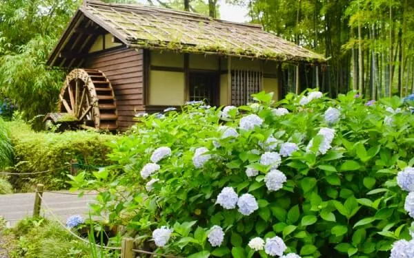 水車小屋