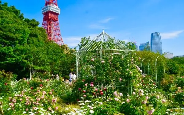 ガゼボを中心にたくさんのバラが咲くプリンス芝公園