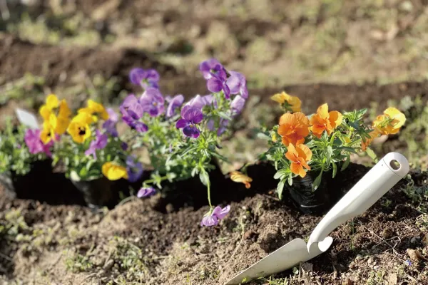 花に与える肥料は何がおすすめ？選び方や施肥のポイント
