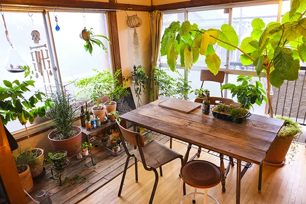 観葉植物の部屋