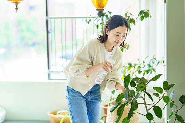 室内で観葉植物を育てるときのポイント