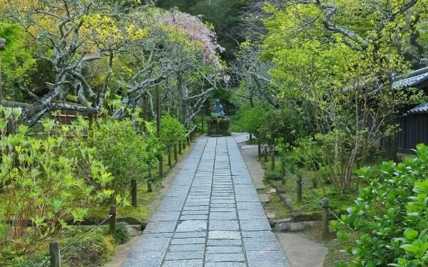 静かな新緑の参道（東慶寺）