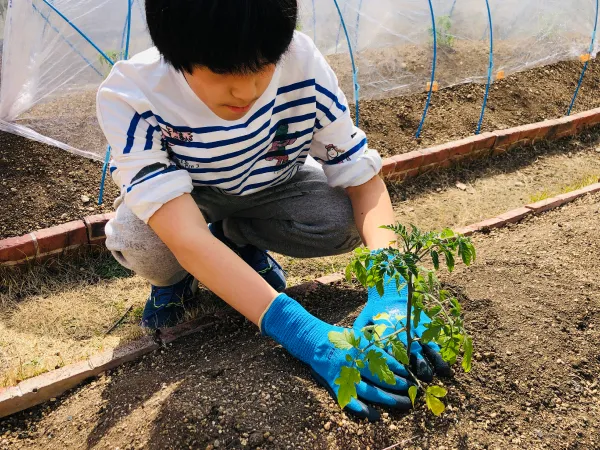 緒方湊