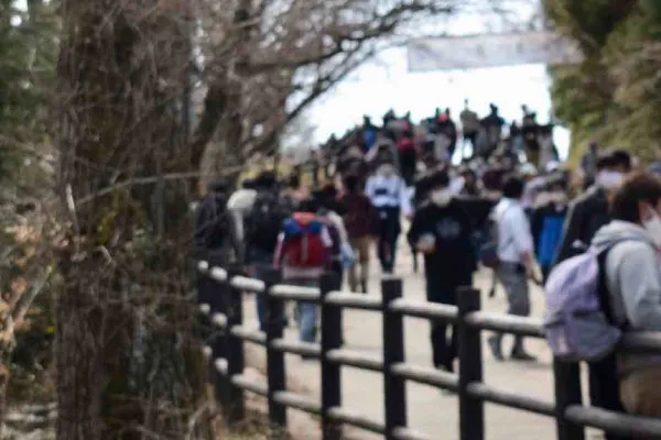 人人人の山頂手前1号路