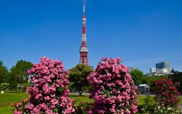 芝公園増上寺側からの景色。‘アンジェラ’の向こうに見える東京タワーは今でも格好いいですね。