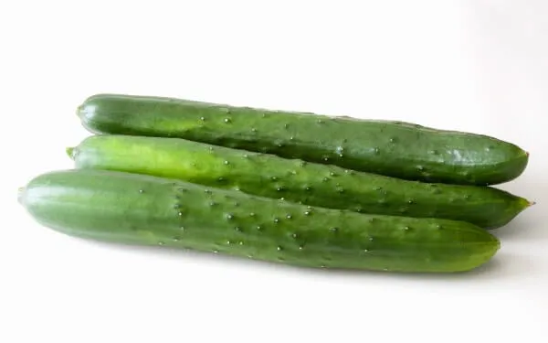 キュウリ