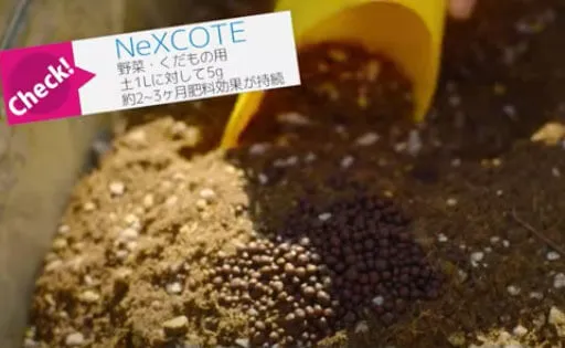 NeXCOTE　野菜・くだもの用