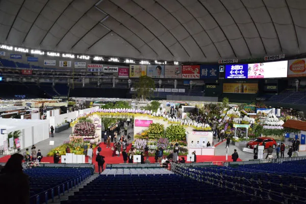 東京ドームで開催の世界らん展日本大賞2019