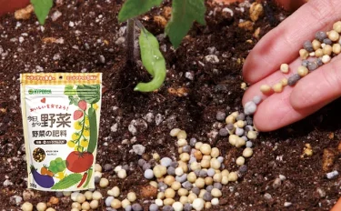 【家庭菜園】野菜の肥料の基礎知識｜追肥のタイミングや最適な肥料の選び方
