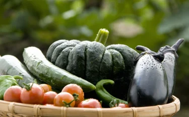 【家庭菜園】 春に植えるおすすめ野菜38選｜栽培のコツや注意点を紹介
