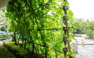 【家庭菜園】 【ゴーヤの育て方】　ゴーヤのグリーンカーテンで、美味しく涼しく夏を乗り切る方法をご紹介♪