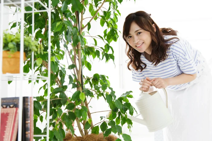 【観葉植物の水やり】「土が乾いたら」「たっぷりと」って、具体的にいつ・どのくらいあげればいいの？