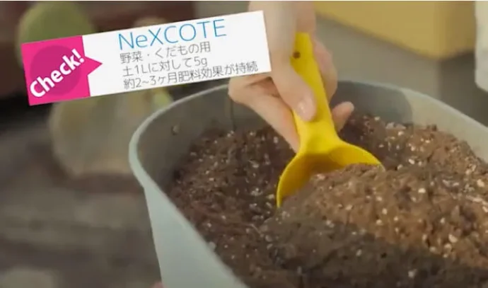 NeXCOTE