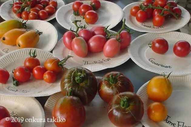 エアルームトマトを知って家庭菜園のさらなる扉を開けよう！