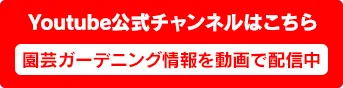 HYPONeX公式YouTubeチャンネルはこちら