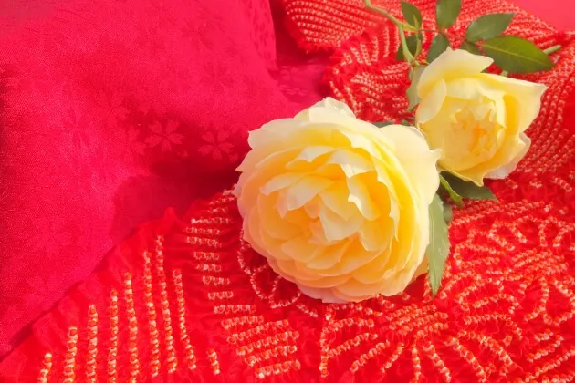 Labyrinth バラの迷宮 pickup63『恋きらら』