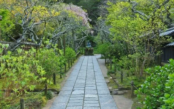 静かな新緑の参道(東慶寺)