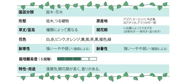 バラデータ