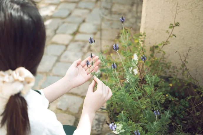 ガーデニングの敵!植物をダメにする害虫と対策