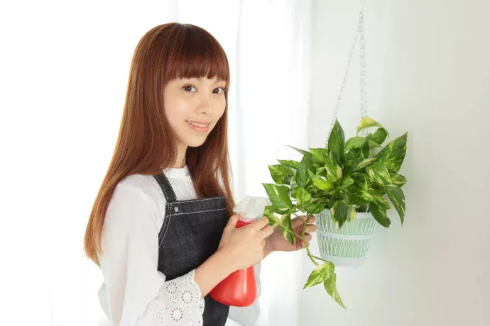 水のやり過ぎは厳禁!乾燥を防ぐには?