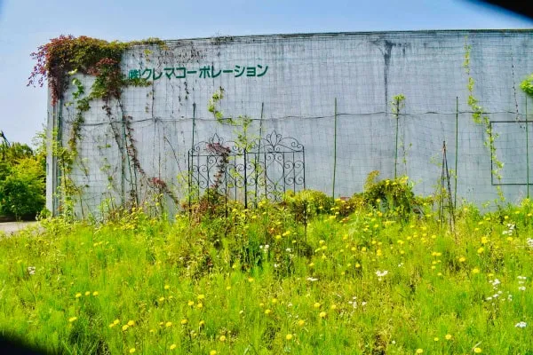 冷蔵庫 抑制栽培などで活用しイベントなどに幅広く対応