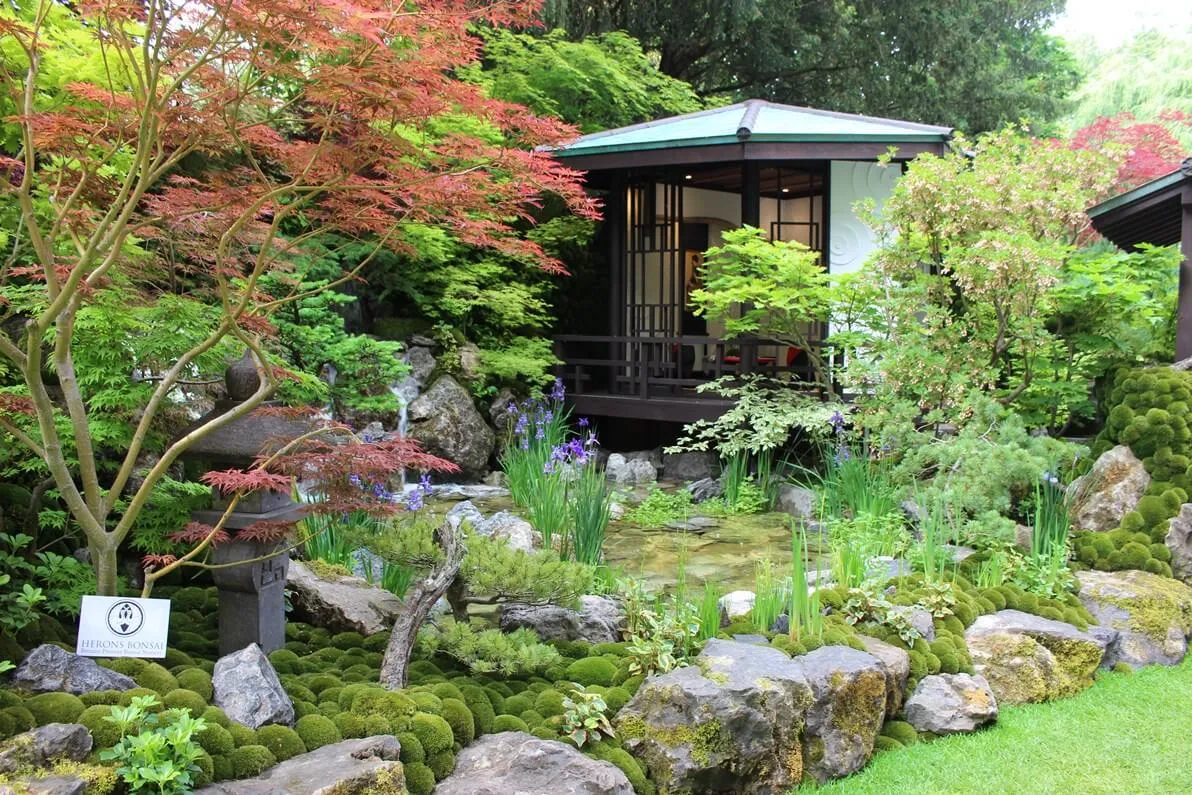 イギリス便り(5月) チェルシーフラワーショーを楽しんで | 植物と