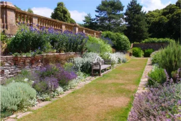 イギリス便り（8月）ガートルード・ジーキルを訪ねて ヘスタークーム