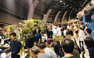 「天下一植物界」BBBってどんなイベント! 京セラドーム大阪開催　おもしろかったという声がいっぱい