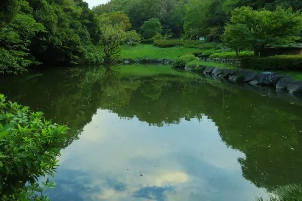 修景池（上池）。かつては溜池として利用されていた