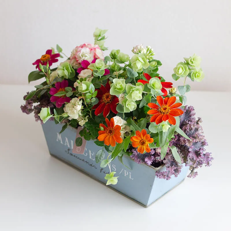 No.360　 寄せ植え　花 出来をワンランクアップ！ 富田英明さんに聞く、寄せ植えづくり | 植物