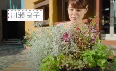 【動画で学ぶ】自分流に楽しむ！カラーリーフの寄せ植え