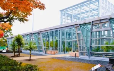 東京花散歩 新しい温室がオープン！ 小石川植物園へ行ってみた