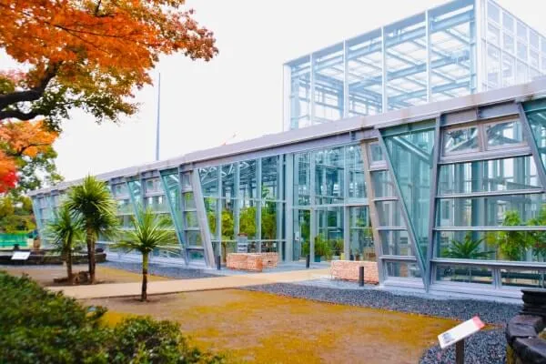 東京花散歩 新しい温室がオープン！ 小石川植物園へ行ってみた