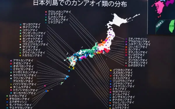 日本の固有種の分布図（展示図から）
