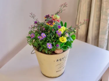 富田英明の春の寄せ植え 3つのポイントでステキな寄せ植えづくり