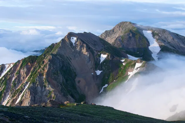 見てみたい、行ってみたい花の絶景9 白馬岳　天空のお花畑