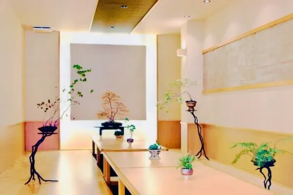 熊木勝裕さんが語る盆栽 基本をベースにつくり方、楽しみ方は自由自在
