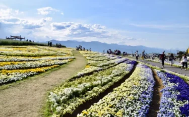 信州へ行ってきた 第36回全国都市緑化フェア 信州花フェスタ2019～北アルプスの贈りもの～