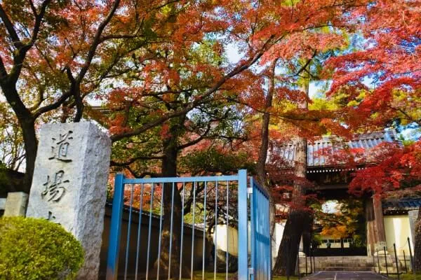 道場寺の山門。モミジが美しい