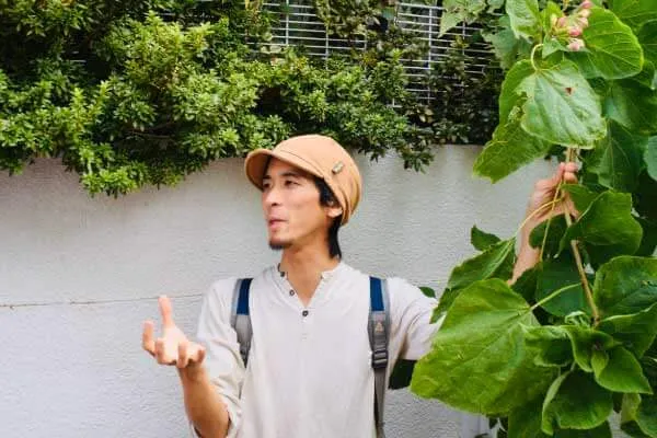 まちの植物を観察してみよう 植物観察家・鈴木純さんとまち歩き