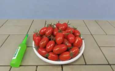 【家庭菜園】今日から野菜　ミニトマトのお勧めする栽培方法