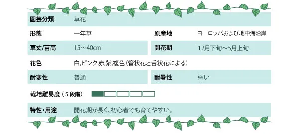 デイジーの基本情報