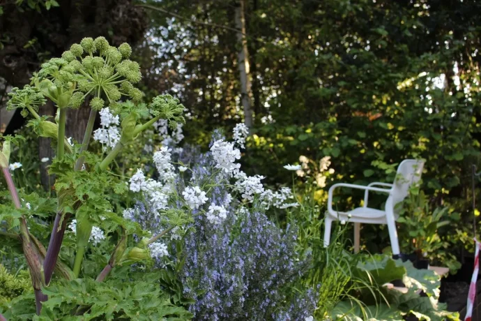 イギリス便り(5月)　チェルシーフラワーショー2018