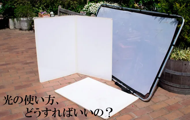 植物写真を綺麗に撮ろう! 第四回 光の使い方