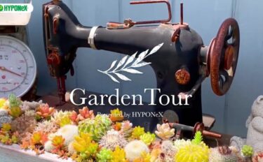 🕊Garden Tour🕊58目指せ！多肉や草花で溢れる癒しのGarden！お気に入りのアンティークやレトロな雑貨に寄せ植えしたワクワク感満載のお庭