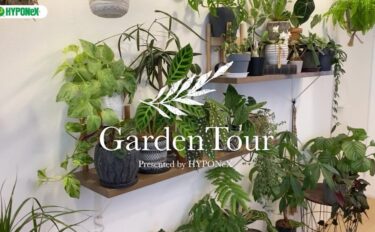 🕊Garden Tour🕊59：リノベーションした際に設置した植物棚がお気に入り、植物の配置などバランスにもこだわったお部屋