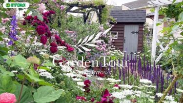 🕊Garden Tour🕊62：バラや宿根草などの植物と手作りの小屋やパーゴラの風景を楽しむお庭
