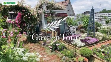 🕊Garden Tour🕊63：バラが満開に咲き誇る知識もゼロの状態から夫婦で作り上げたお庭
