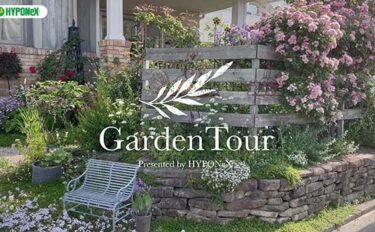 🕊Garden Tour🕊64：バラと草花が黄金色の麦とコラボする石積みにこだわりのあるお庭