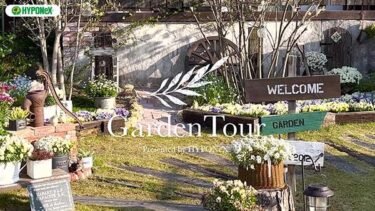 🕊Garden Tour🕊65：シンボルツリーのジュンベリーと、種から育てたこだわりの花壇や鉢植えのお花が一年を通して楽しませてくれるお庭